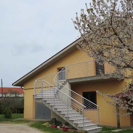 Il Ciliegio Pension Treglio Buitenkant foto