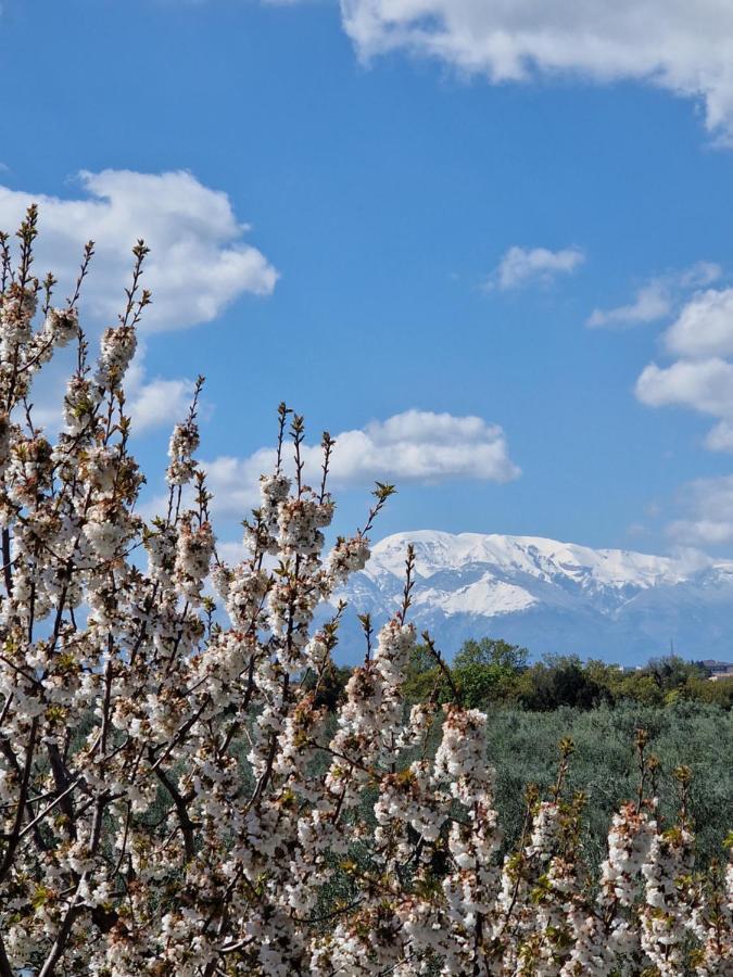Il Ciliegio Pension Treglio Buitenkant foto