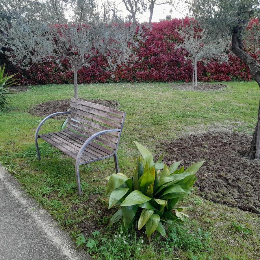 Il Ciliegio Pension Treglio Buitenkant foto